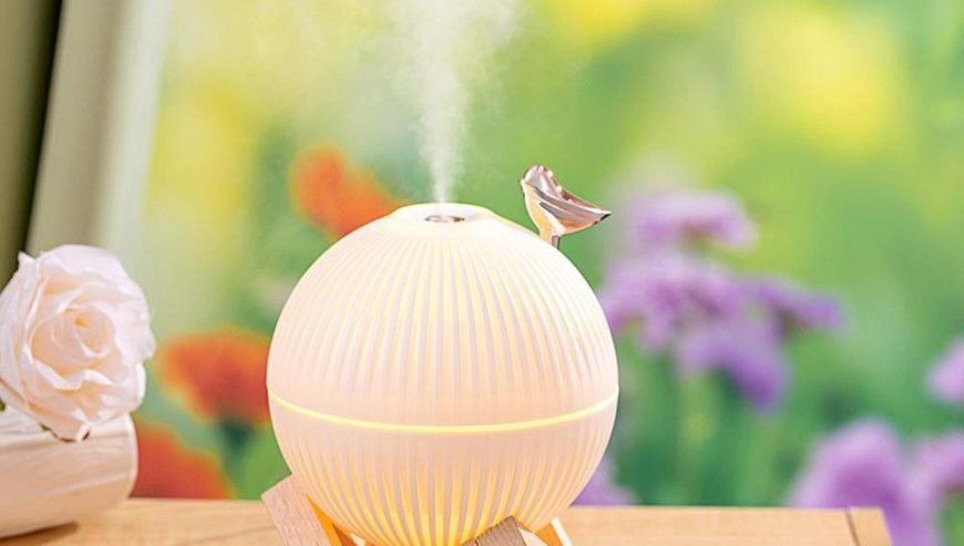 Lark Air Humidifier with LED Light