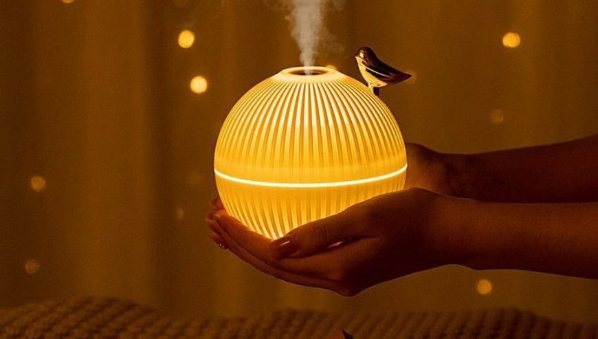 Lark Air Humidifier with LED Light