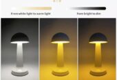 Rechargeable LED Table Lamp 