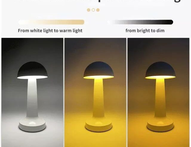 Rechargeable LED Table Lamp 